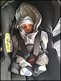 finn08.jpg
